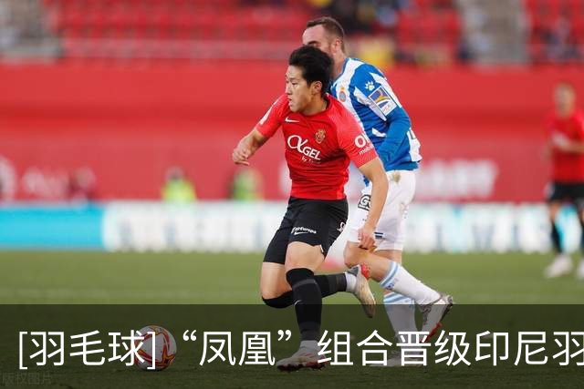 [羽毛球]“凤凰”组合晋级印尼羽毛球公开赛混双八强